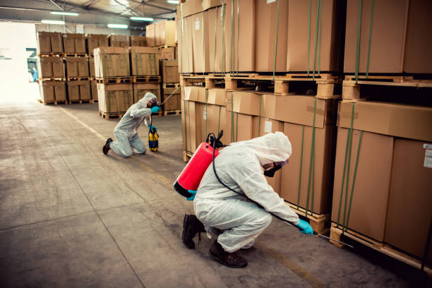 Best Affordable Pest Control Services  in Auburn, KY