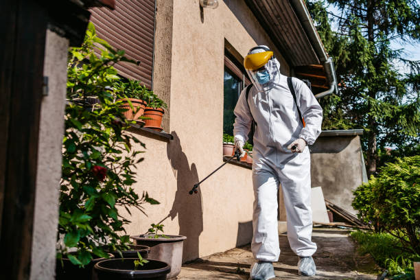 Best Pest Control Treatment  in Auburn, KY