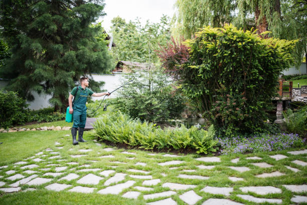 Best Residential Pest Control  in Auburn, KY