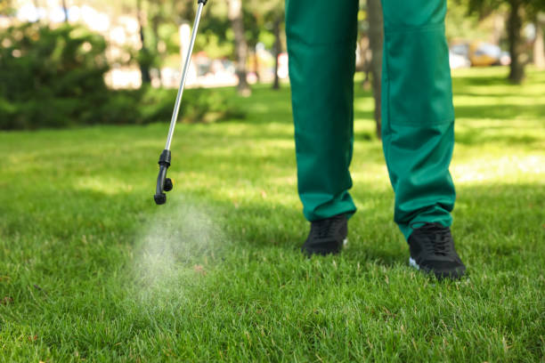 Best Bed Bug Extermination  in Auburn, KY