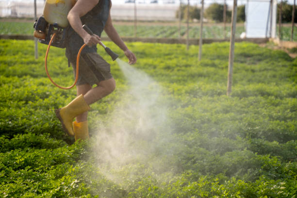 Pest Control Cost in Auburn, KY