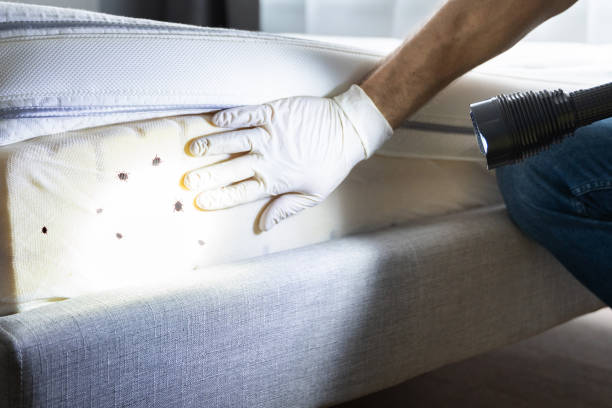 Best Best Pest Control Near Me  in Auburn, KY