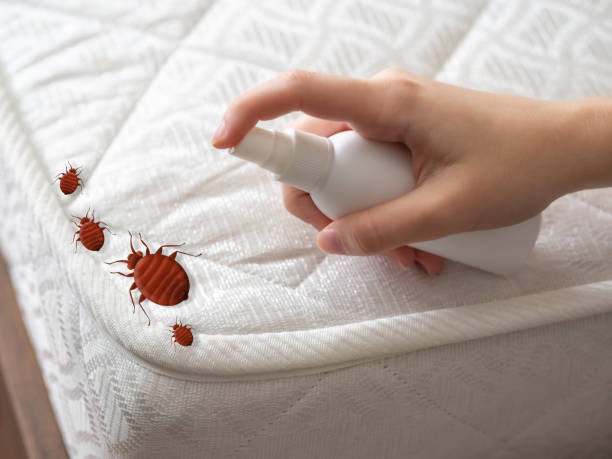Auburn, KY Pest Control Company