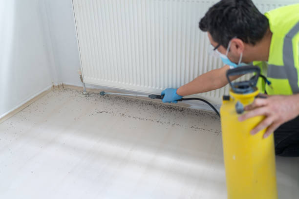 Best Ant Control Services  in Auburn, KY